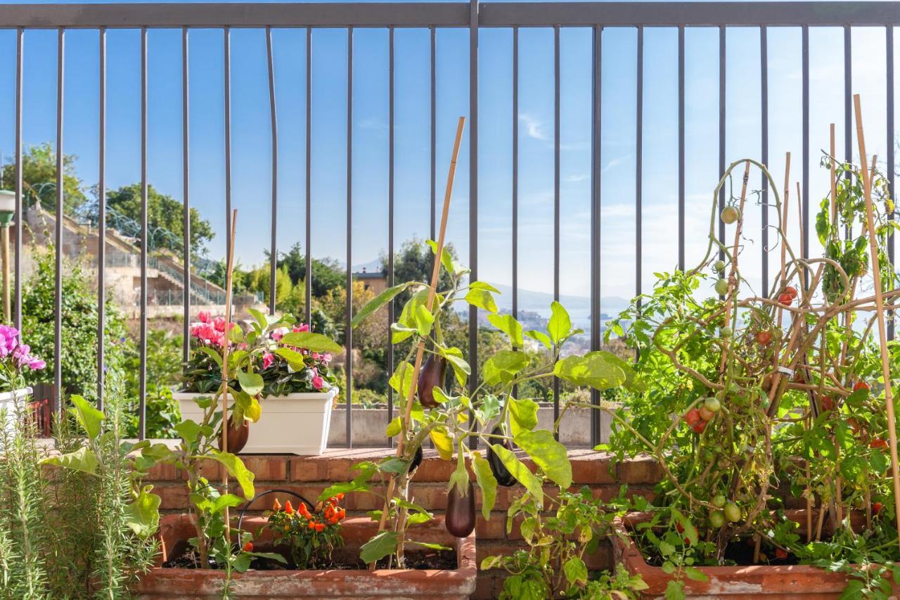 Apartment Casa Rosa - Sea View & Terrace Naples